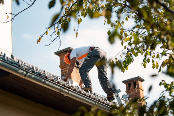 Trusted Pingree Grove, IL Roofing Contractor Experts