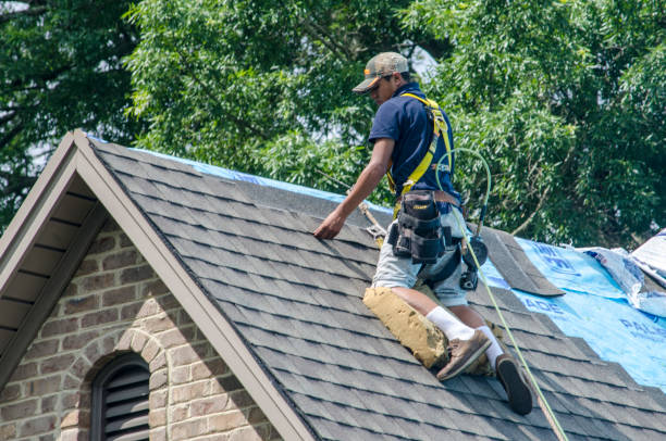 Best Slate Roofing Contractor  in Pingree Grove, IL